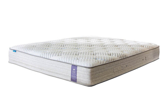 İŞBİR LEVANDER-TUIN