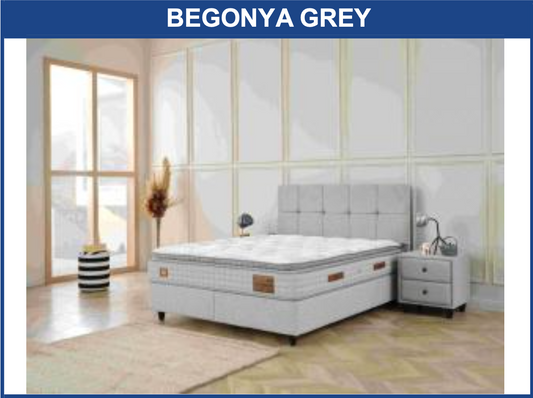 Begonya Grey